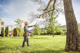 Soil Testing and Treatment in Evans, GA